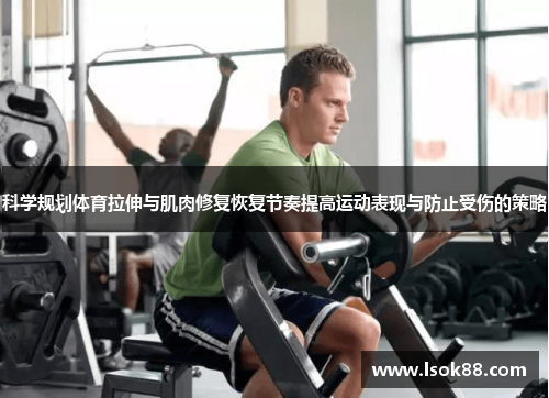 科学规划体育拉伸与肌肉修复恢复节奏提高运动表现与防止受伤的策略